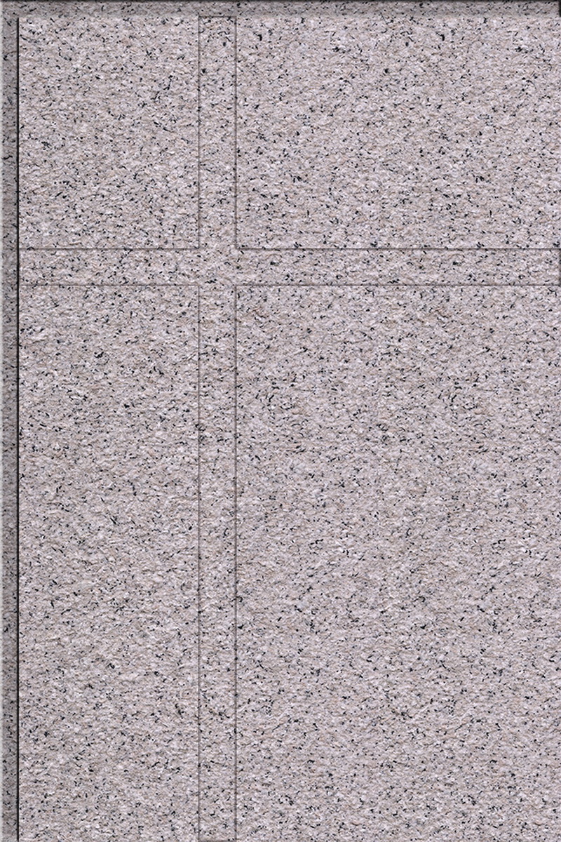 6D-6008